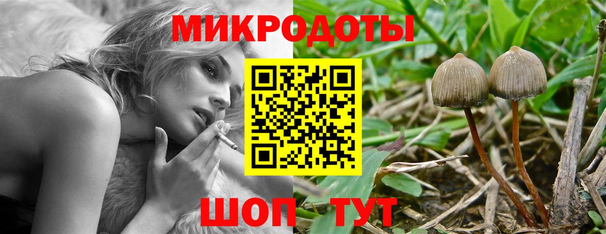 Псилоцибиновые грибы Magic Shrooms  Галлюциногенные грибы мухоморы  Янаул  Вход с VPN 